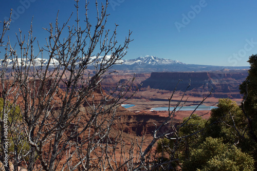 Red Rock and Mountains