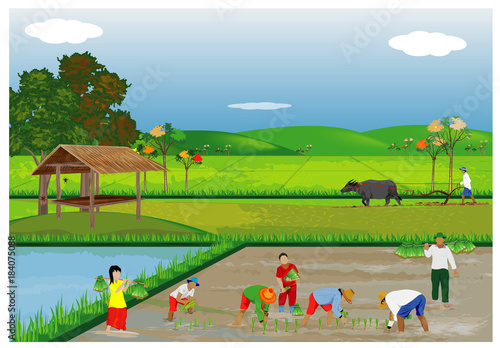 lifestyle of farmer vector design