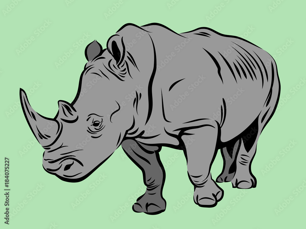 Obraz premium Vector image of a rhinoceros