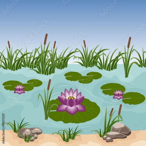 Pond with colorful water lilies, reeds in grass and stones