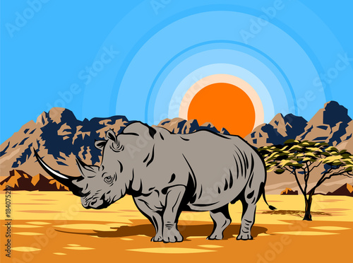 Rhinoceros in the desert