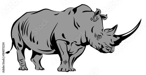 Vector image of a rhinoceros
