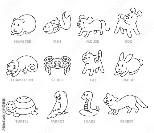 Pet shop, set types of pets