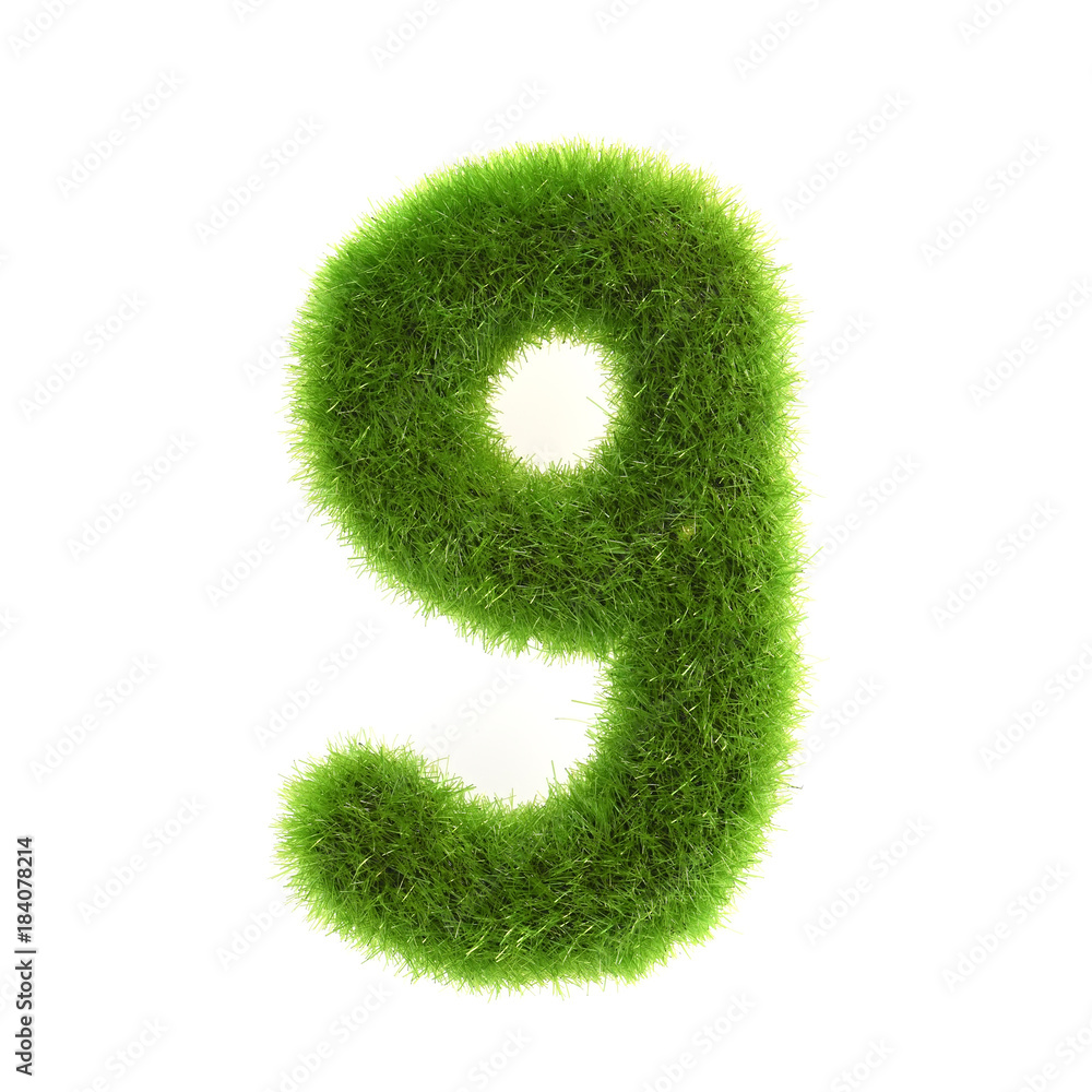Grass Grass