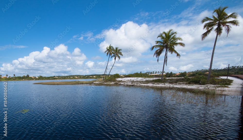 Landscape with coconut trees on island - Travel concept