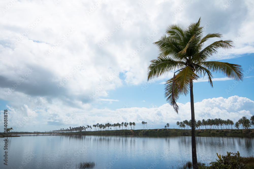 Vacation concept - Tropical landscape of the Brazilian coast