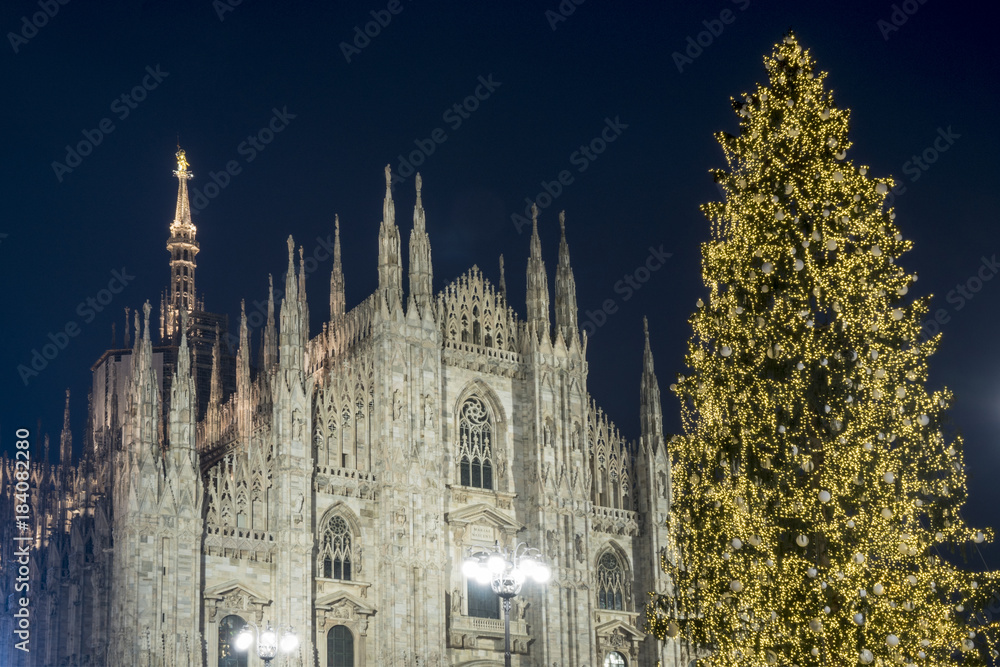 Christmas tree in front of Milan cathedral, Duomo square in december, night view.
