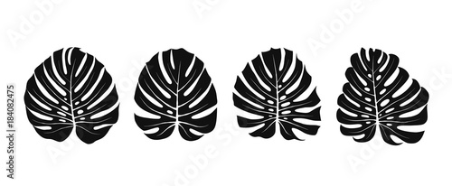Monstera Leaves Silhouettes