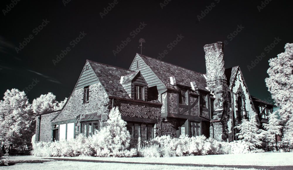 Naklejka premium Mansion