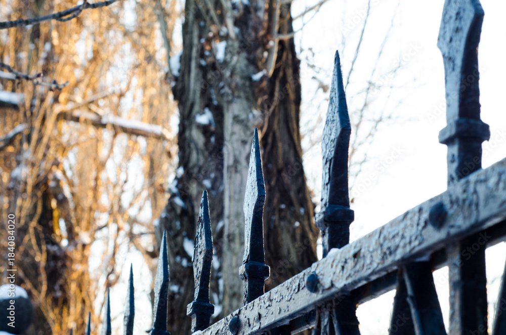 Fototapeta premium Old cast iron spiked fence in a park