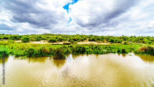 Landscape along the Olifants River near Kruger Park and Phalaborwa on the border between Limpopo and Mpumalanga Provinces in South Africa photo