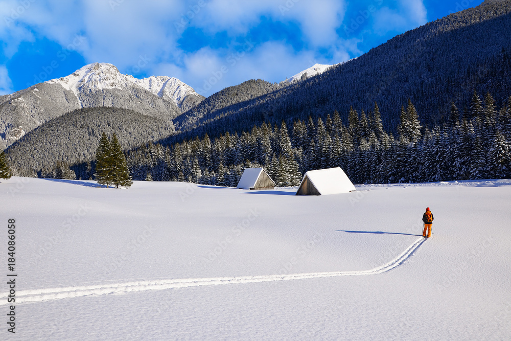 Fototapeta premium Skier in Chocholowska valley during winter season, Tatry Mountains, Poland