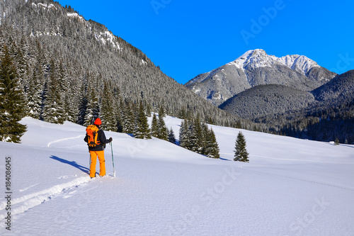 Skier in Chocholowska valley during winter season, Tatry Mountains, Poland