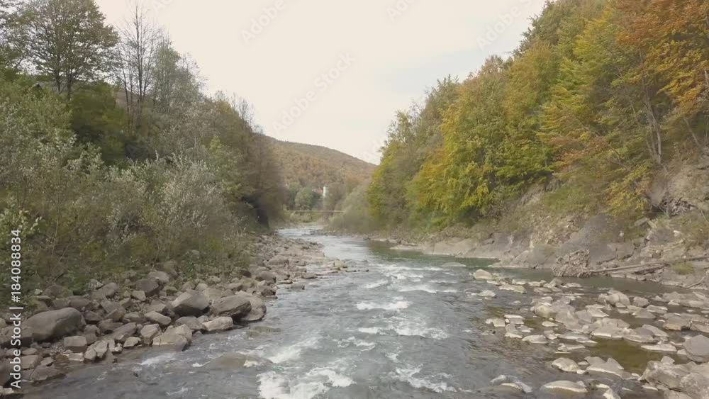 Moving river in Carpathian Mountains, drone shot Moving river in Carpathian Mountains, drone shot
