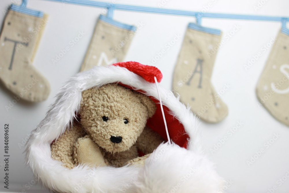 Teddy bear Christmas time