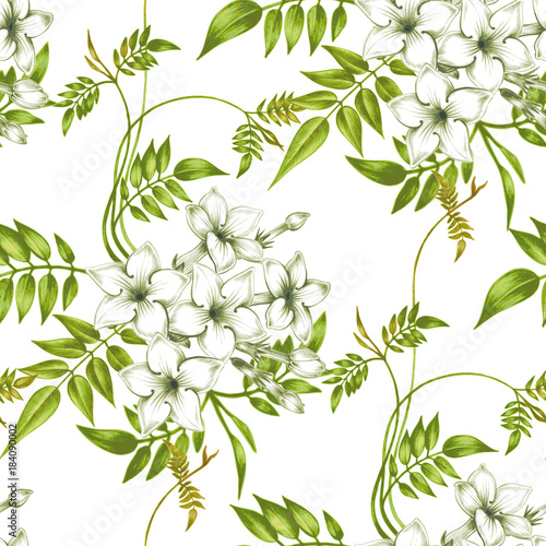Vector seamless floral pattern with jasmine flowers.