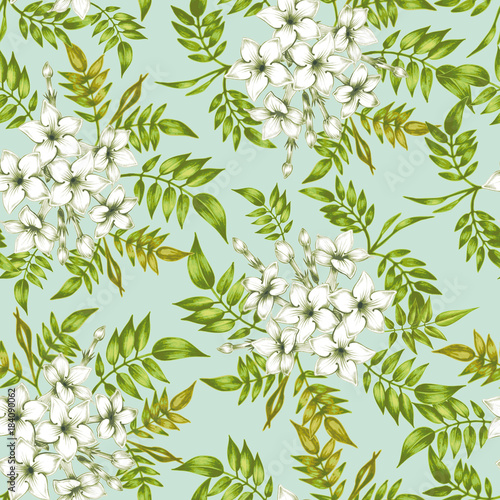 Vector seamless floral pattern with jasmine flowers.