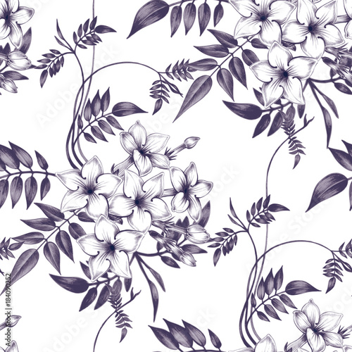 Vector seamless floral pattern with jasmine flowers.