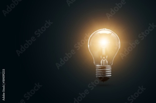 The electric bulb is glowing on a dark background. The concept is a successful idea.