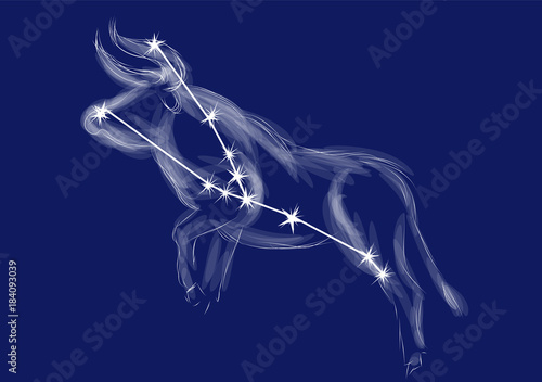 Zodiac sign-taurus
