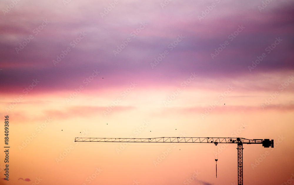 crane against pink sunset sky
