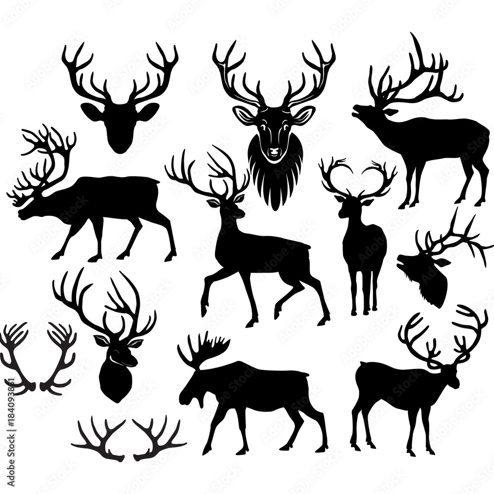 Obraz premium Black silhouettes of deers and deer horns