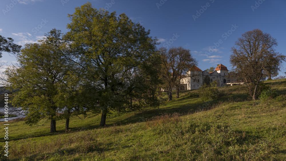 Svirzhskij castle is surrounded by a park in Ukraine, Europe