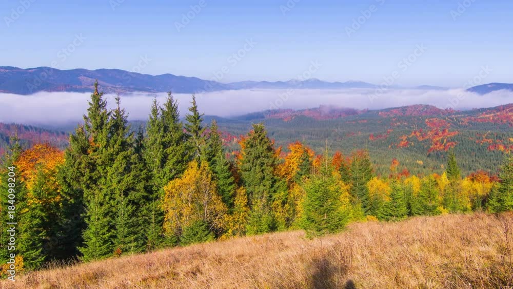 Autumn. Misty Morning in the Mountains with a Young Firs in the Foreground and Fog in the Background. Timelapse. 4K.
Autumn. Misty Morning in the Mountains with a Young Firs in the Foreground and Fog in the Background. Timelapse. 4K.