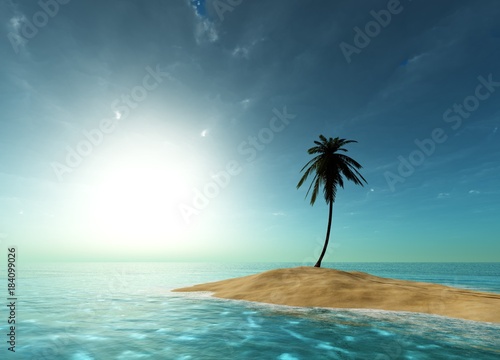 island in the ocean with a palm tree