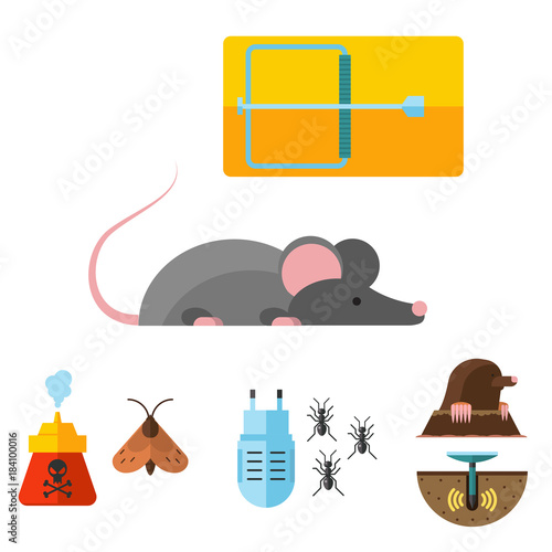 Home pest insect vector control expert vermin exterminator service pest insect thrips equipment flat icons illustration.