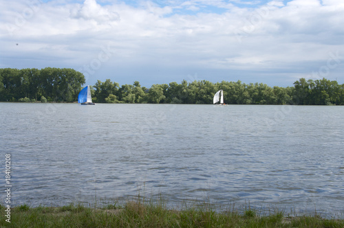 Segelboote auf dem Rhein bei Wiesbaden photo