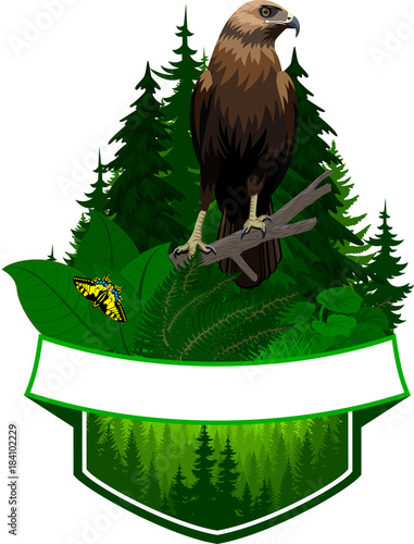 vector woodland emblem with hawk and butterfly