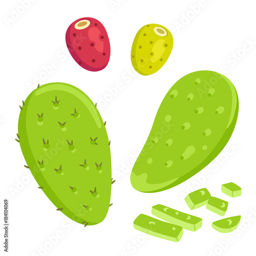 Nopal cactus with prickly pears photo