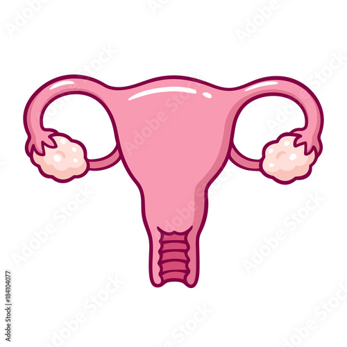 Vászonkép Cartoon uterus drawing