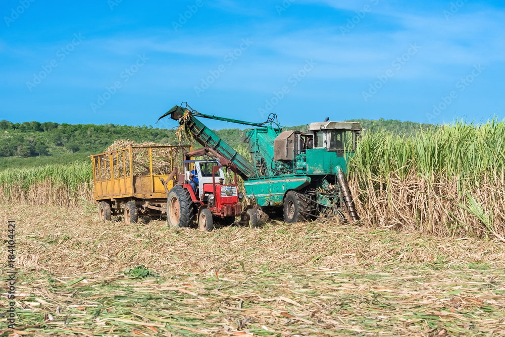 Maschinelle Zuckerrohr Ernte auf dem Feld im Binnenland von Kuba - Serie Cuba Reportage