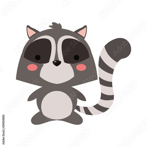 Cute raccoon cartoon icon vector illustration graphic design