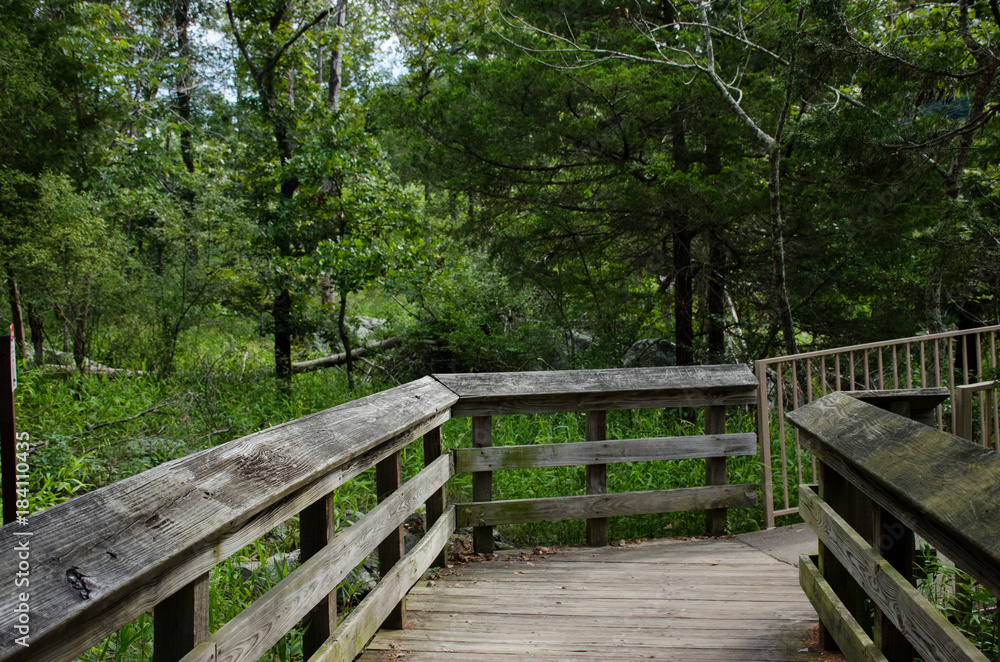 Obraz premium Pathway