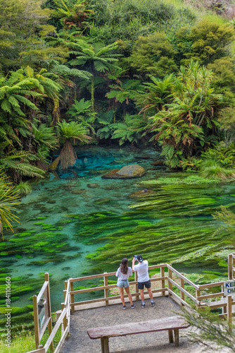 Te Waihou, Waikato, New Zealand photo