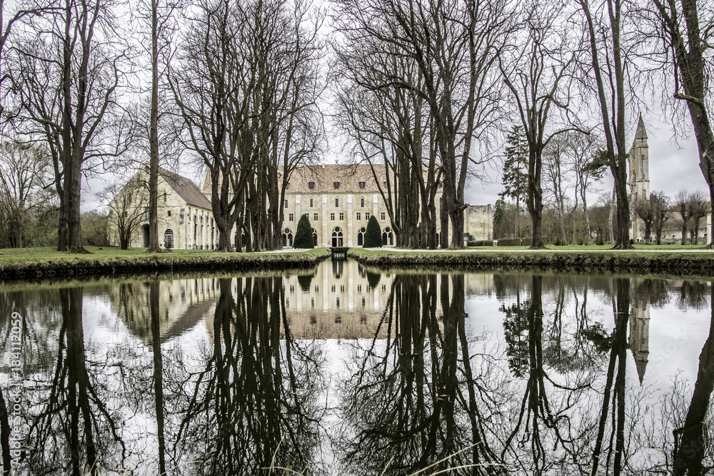 Fototapeta premium reflection of a branch abbey 