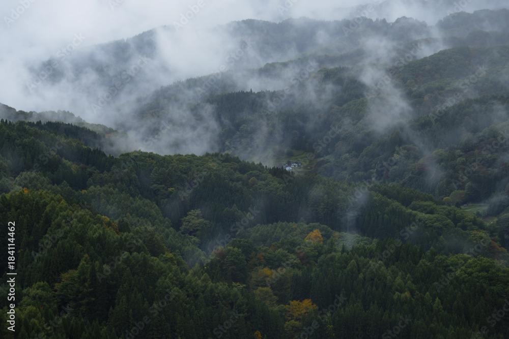 霧の村