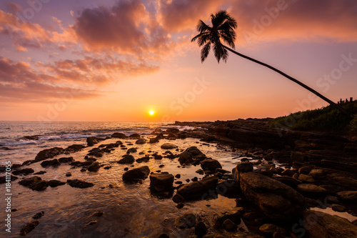 Fototapeta Naklejka Na Ścianę i Meble -  Lonely palm tree on the beach at sunset