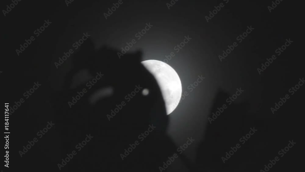 Supermoon Behind The Leaves Supermoon Behind The Leaves