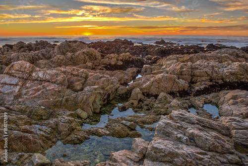 17 Mile Drive photo