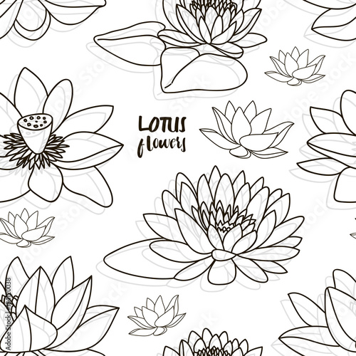 Set of lotus flowers pattern