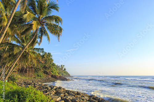 Palms, beach, Varkala vacation destination, India