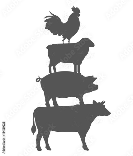 Cow, pig, sheep, rooster stand on each other