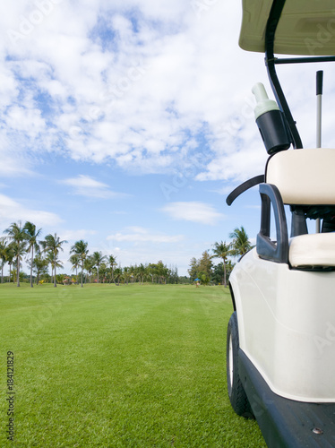golfing on fairway beside golf cart during sunshine day