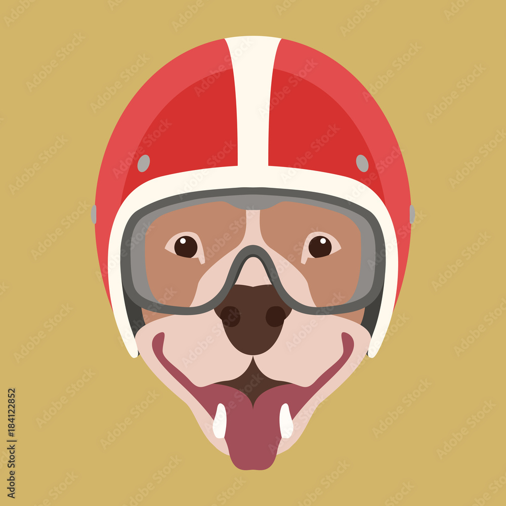 Obraz premium dog face in motorcycle helmet vector illustration flat