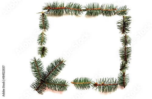 sprigs of blue spruce