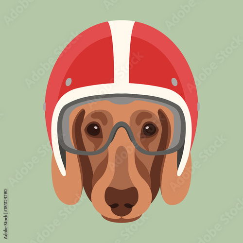 dog face in motorcycle helmet vector illustration flat